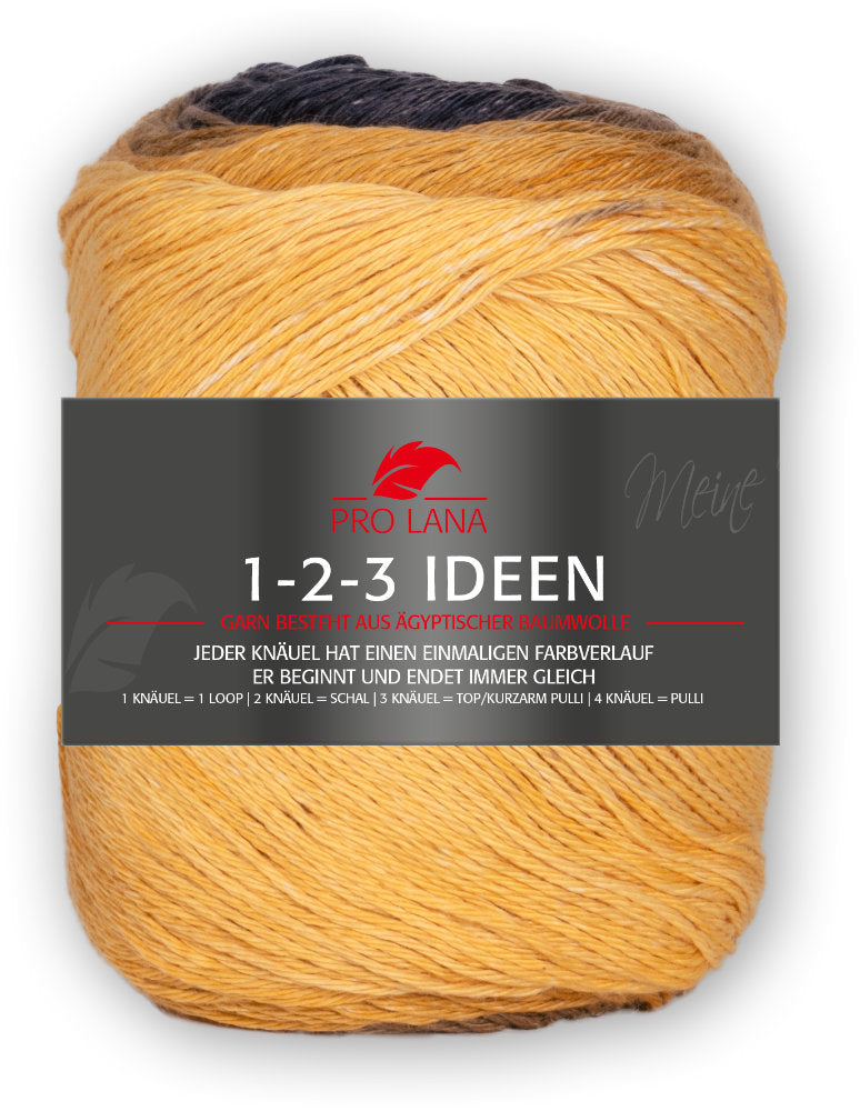 1-2-3 Ideen von Pro Lana