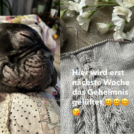Damenshirt Halbmond | Einzelanleitung | Stricken | Sylvie Rasch
