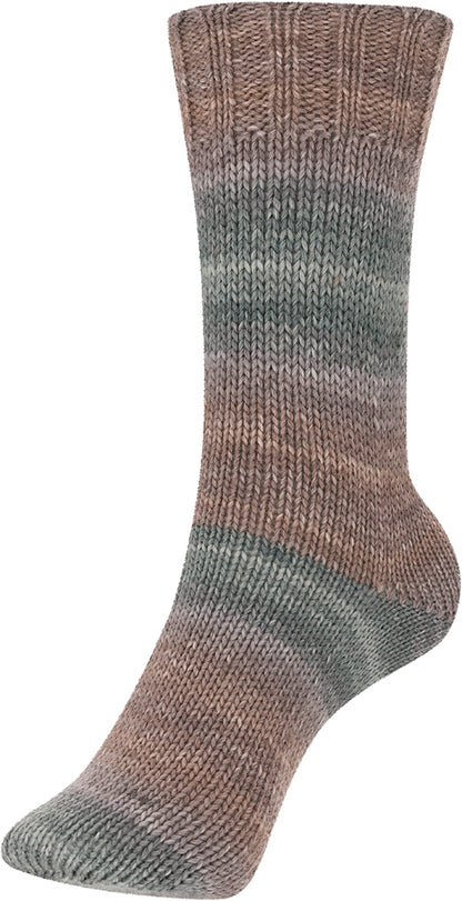 Step 6-fach color Aufmachung im Kuchenknäuel