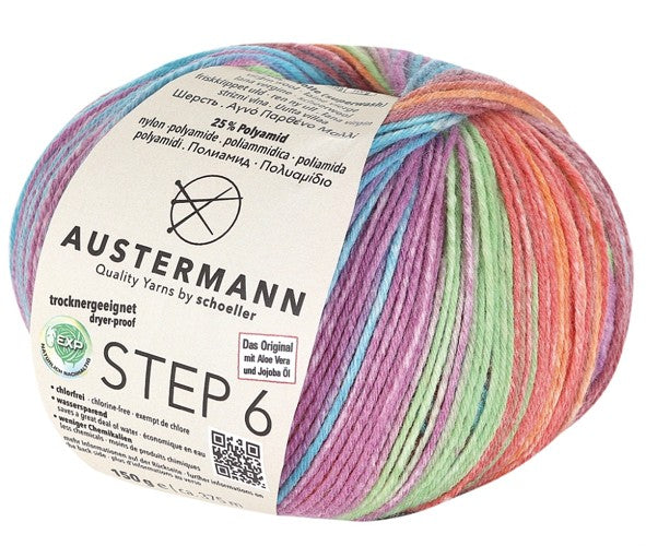 Step 6-fach color Aufmachung im Kuchenknäuel